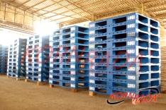 LOSCAM WOOD PALLETS