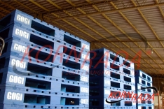 LOSCAM WOOD PALLETS