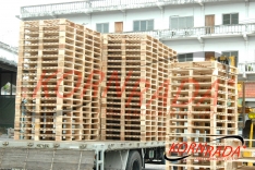 MINI-LOSCAM WOOD PALLETS